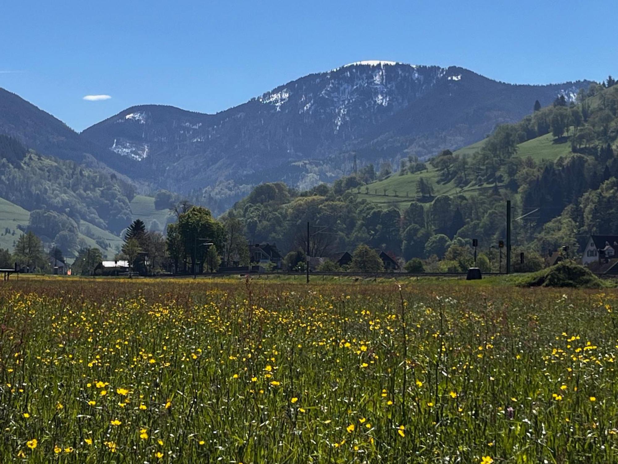 Münstertal Ferienzimmer Bergblick מראה חיצוני תמונה